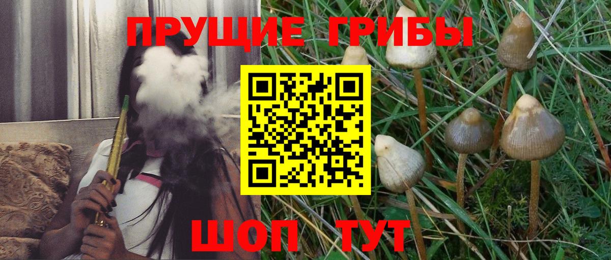 Губкинский  Галлюциногенные грибы GOLDEN TEACHER  Вход с VPN 